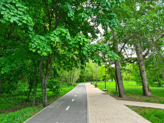 The path in the park is divided into a pedestrian and a bicycle path.