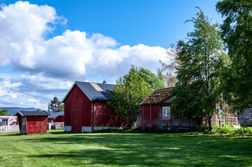 Obraz premium Norwegian fjord landscapes from the mountains and the sea