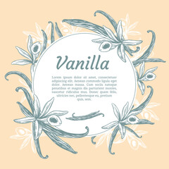 Vanilla flowers and beans set. Hand drawn sketch style vanilla aroma pods. Culinary and aroma needs drawings. Vector illustrations.