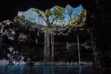 cenotes de la península de Yucatán en México, hacienda Santa Bárbara, aguas subterráneas. 
