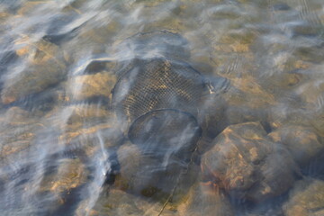 fishing net in the water
