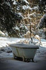 An old bathtub left in the forest in winter time