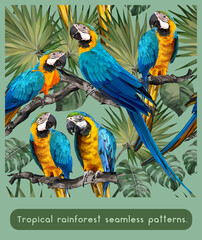 Seamless patterns art of Amazon tropical rainforest lifes.