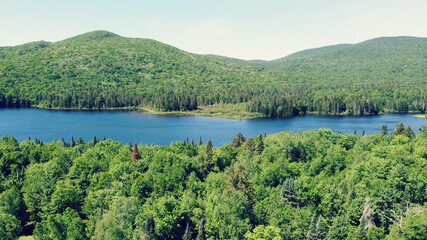 Fototapeta na wymiar Lake with forest in Mont-Tremblant Quebec 