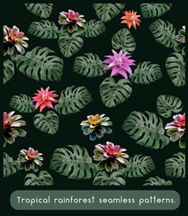 Seamless patterns art of tropical rainforest flowers.