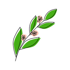 Blooming branch. Minimalist illustration line art style