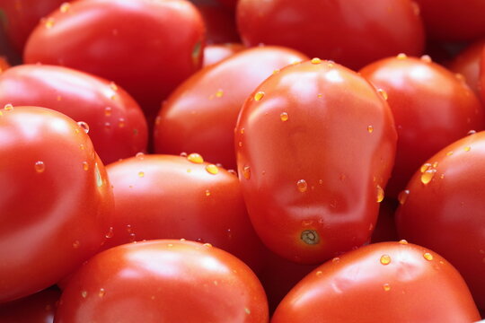 Group of fresh tomatoes as background