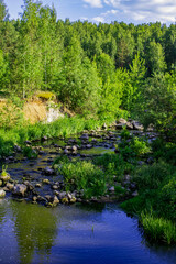 Mountain river with green forest on its banks