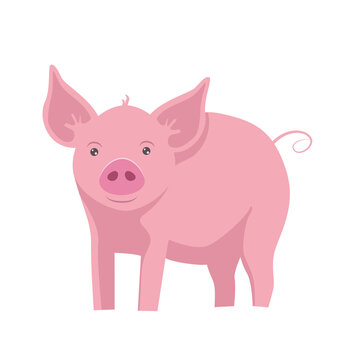 Cute little pink cartoon pig isolated on white transparent background.
