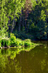 River in summer with green forest on the banks