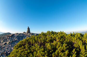 Naklejka premium beautiful mountains covered with forest and alpine pine under blue sky