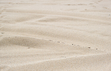 Sand background texture, closeup view. Sandy beach, summer vacations