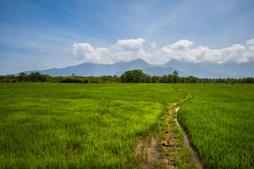 Hai Van Pass in Vietnam