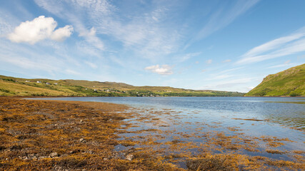 Fototapeta na wymiar Loch Harport on Isle of Skye with view towards Talisker Distillery
