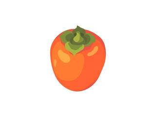 Persimmon fruit icon isolated on white background