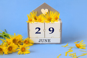 Calendar for June 29: cubes with the number 29 , the name of the month of June in English, a bouquet of yellow daisies, blue background