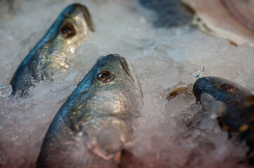 Several whole sea fish with scales lie on the ice in a restaurant.