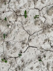 cracked soil background