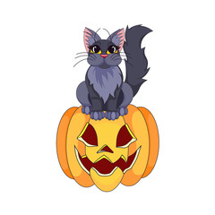Long-haired black kitten sitting on pumpkin named Jack O Lantern in Cartoon style, black cat with carved pumpkin on white isolated background, concept of Halloween and Festivals, Animals and Pets.