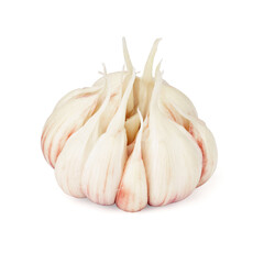 young garlic isolated on white background. aromatic spices,