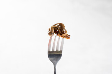 Escargot grape snail close-up on white background. French gourmet cuisine.