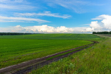 Fototapeta na wymiar landscape with a road in hilly green fields and a blue cloudy sky