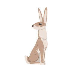 Fototapeta premium Sitting Hare or Jackrabbit as Swift Animal with Long Ears and Grayish Brown Coat Vector Illustration