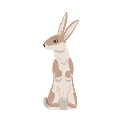 Standing on Hind Legs Hare or Jackrabbit as Swift Animal with Long Ears and Grayish Brown Coat Vector Illustration