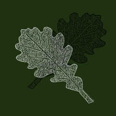 Seamless pattern of beautiful autumn oak leaf white and black illustration on dark green background with copy space. Autumn seasonal backdrop for postcard gift paper wallpaper textile and invitations