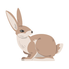 Fototapeta na wymiar Sitting Hare or Jackrabbit as Swift Animal with Long Ears and Grayish Brown Coat Vector Illustration