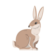 Fototapeta na wymiar Sitting Hare or Jackrabbit as Swift Animal with Long Ears and Grayish Brown Coat Vector Illustration