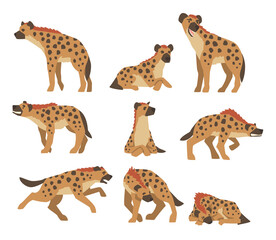 Hyenas as Carnivore Mammal with Spotted Coat and Rounded Ears Sitting, Standing and Attacking Vector Set