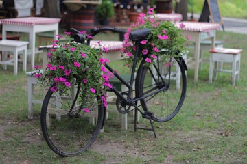 Fototapeta na wymiar Bicycle with flowers 01