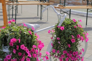 Bicycle with flowers 17