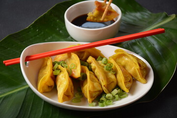 Japanese dumplings Gyoza with chicken and vegetables, soy sauce and green onions