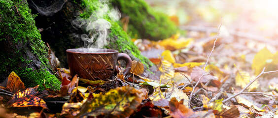 Cup of hot coffee in the autumn forest under a tree. Rest in the woods in autumn