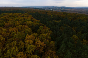 Fototapeta na wymiar Autumn panorama of yellowed leaves, top view of the colorful forest that stretches across the territory of Ukraine.