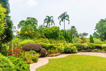Landscape of Singapore botanic gardens