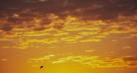 clouds and sun