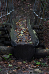fallen autumn leaves over wooden the bridge