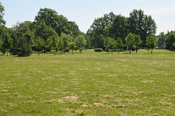 golf course in the morning