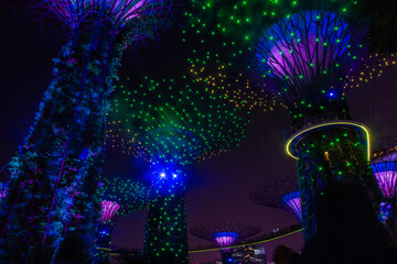 SINGAPORE, 3 OCTOBER 2019: The Supertrees of Gardens by the bay