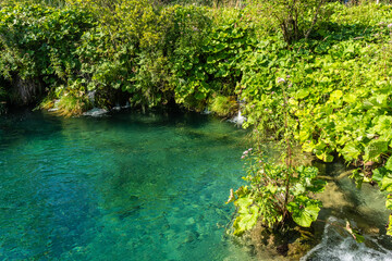 The crystal water of Plitvice Lakes, Croatia