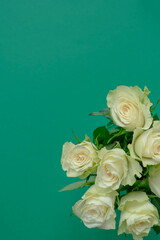 White roses in a green vase on a green background