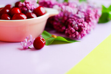 Fototapeta na wymiar summer still life with ripe cherries in a plate and lilac on a purple background. selective focus, close-up