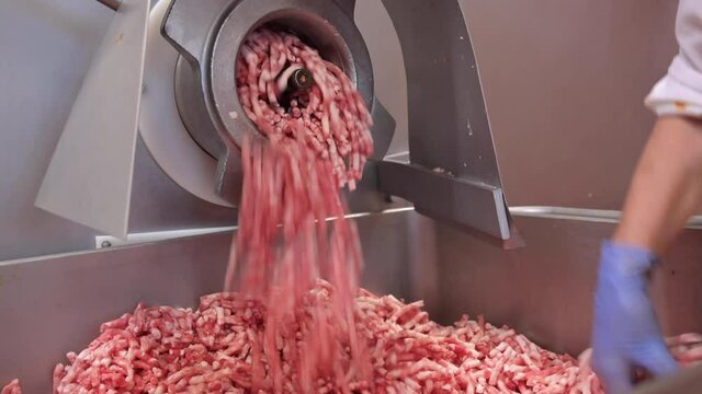 Making minced meat in an electric meat grinder from fresh beef at the meat processing plant. mincer machine with fresh chopped meat. High quality 4k footage