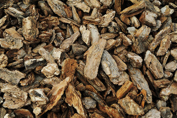 Firewood. Wooden texture

