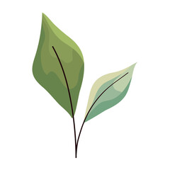 two leaves icon