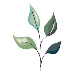 Plant leaves icon