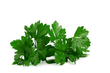 a bunch of lettuce parsley, isolate for clipping on a white background